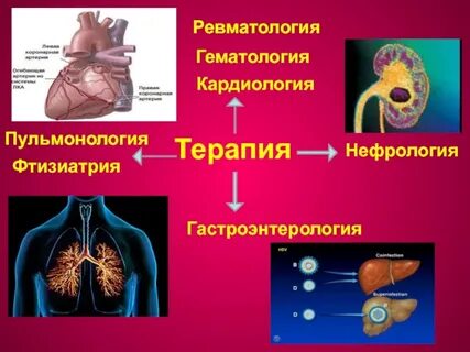 Пульмонология фтизиатрия