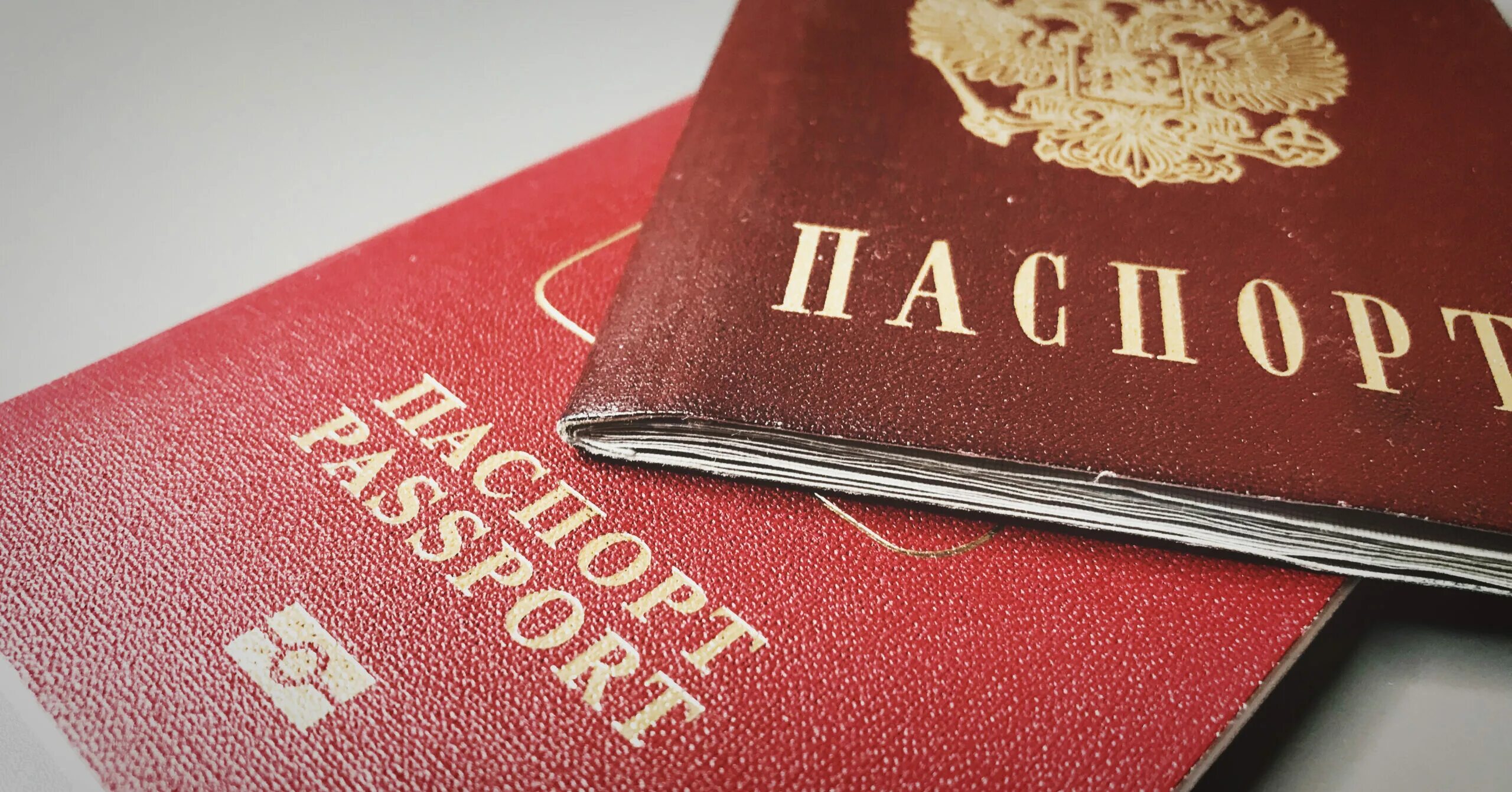 Госслужащий двойное гражданство. Двойное гражданство в рф. Госслужащий двойное гражданство. Госслужащий двойное гражданство. Госслужащий двойное гражданство.