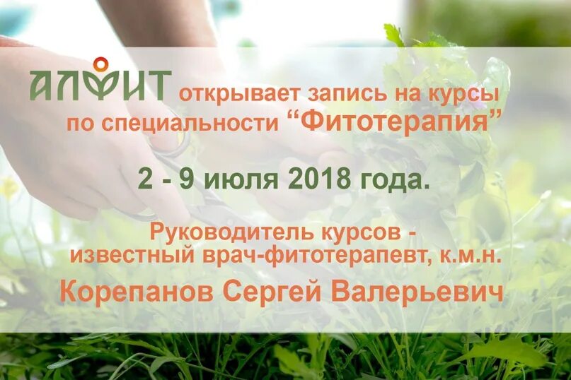 Фитотерапевт плесовских осина. Фитотерапия профессия. Фитотерапевт проект по биологии. Фитотерапевт профессия. Фитотерапевт презентация профессия.