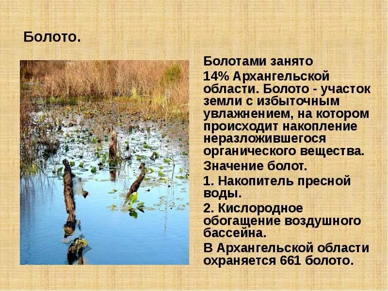 Сообщение о болоте