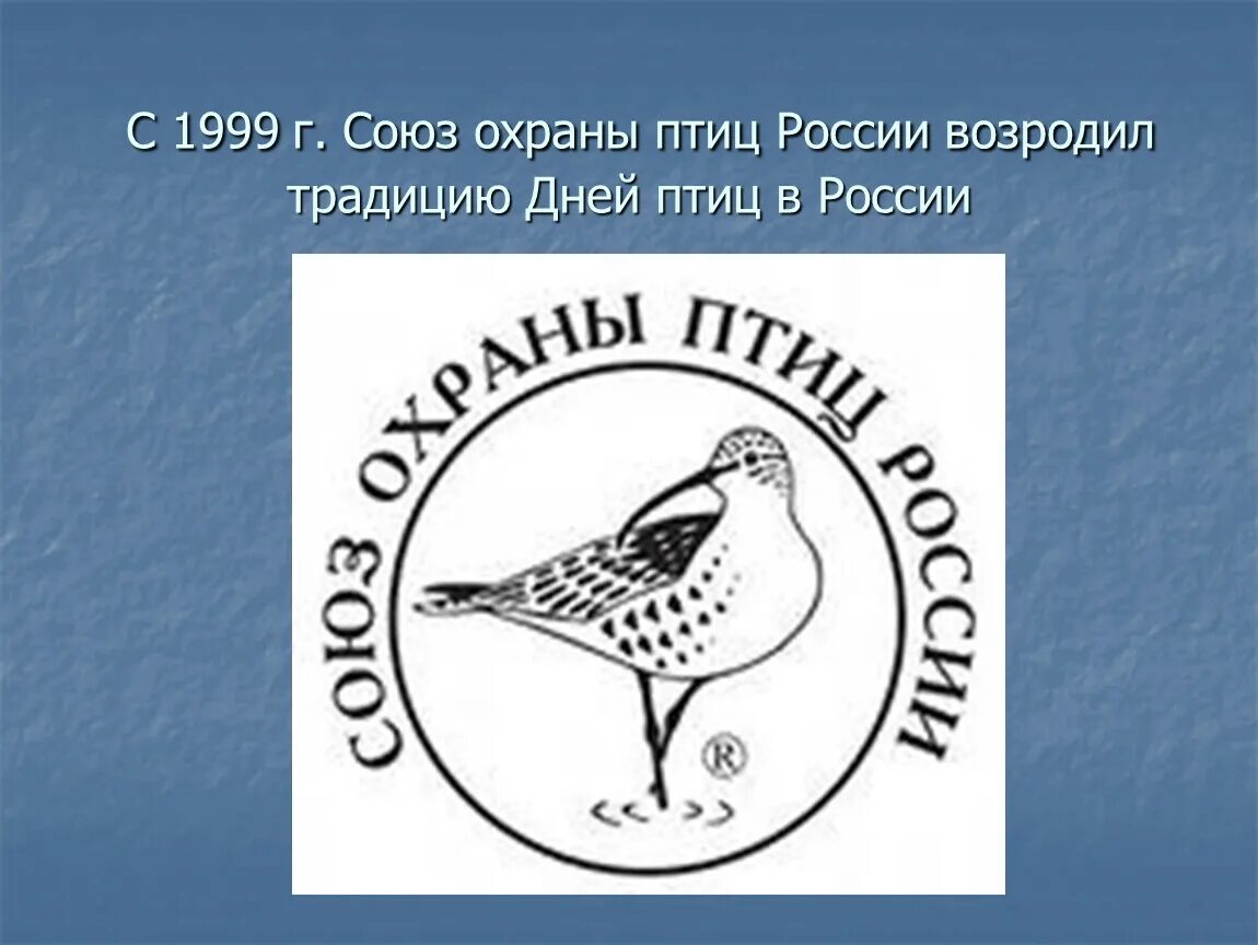 Союз охраны птиц россии птица года 2024. Сопр Союз охраны птиц России. Союз охраны птиц России эмблема. Символ Союза охраны птиц России. Общество защиты птиц.