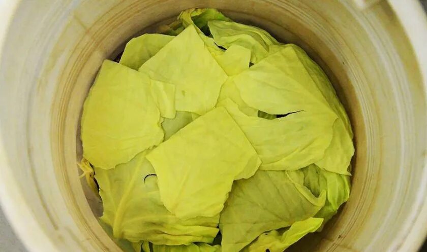 острая капуста по-корейски. засолка острой капусты кусками. корейская капуста провансаль. капуста быстрого приготовления.