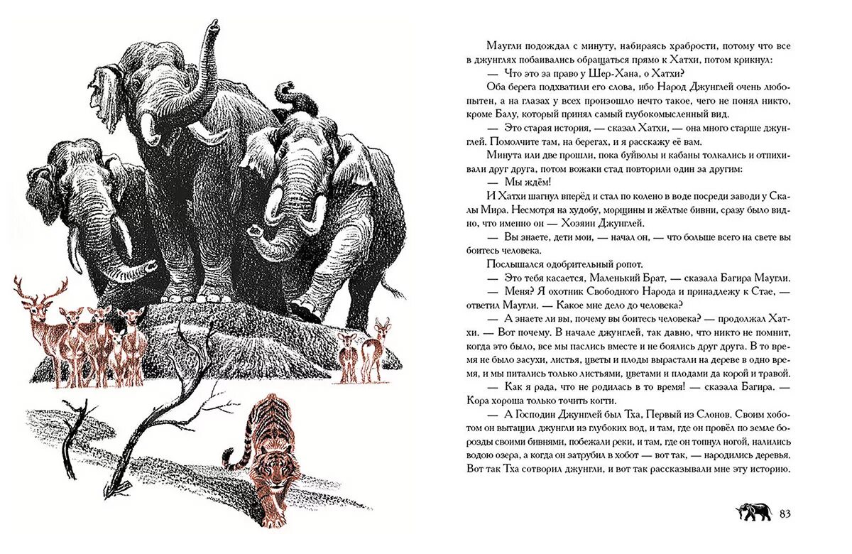 иллюстрации к книге маугли ватагин. как маугли был принят в стаю 3 класс план рассказа. киплинг маугли махаон.