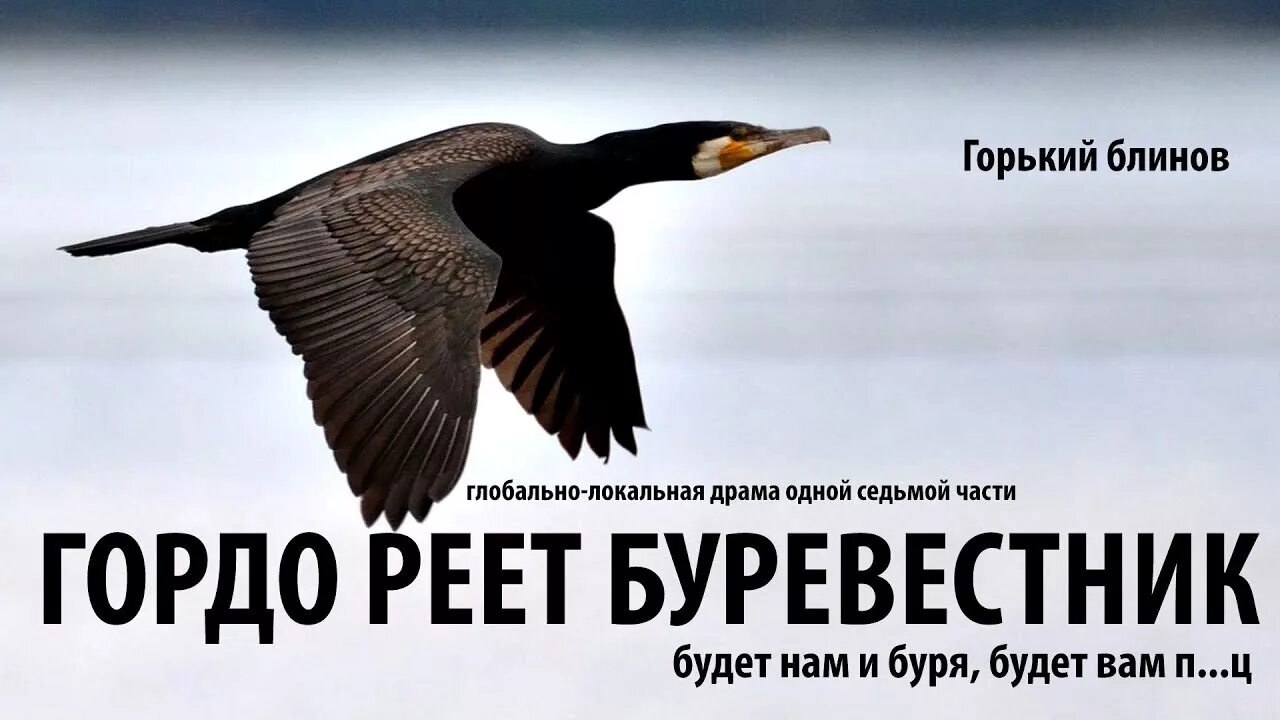 Гордый Буревестник. Реет Буревестник. Гордо реет Буревестник. Буревестник Горький. Буревестник автор