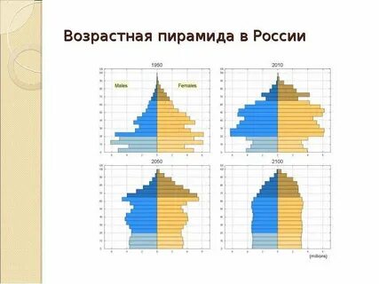 Возрастно половая пирамида чад