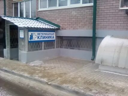 Стрелецкий ветеринарный госпиталь отзывы
