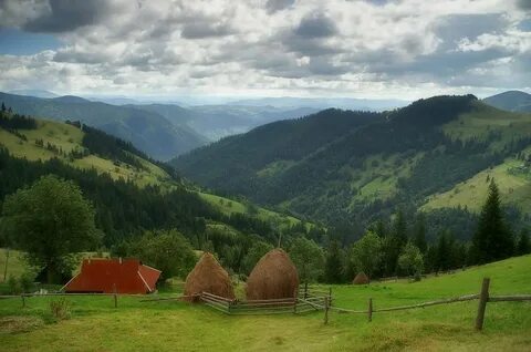 Прикарпатье минай