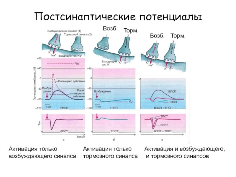 Впсп это