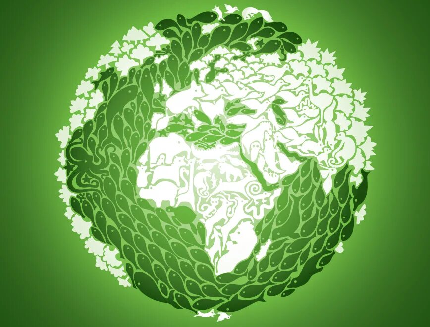 Reduced biodiversity. Изменение климата и биологическое разнообразие. Сокращение видового разнообразия. Изменение климата и биологическое разнообразие. Планета земля экология.