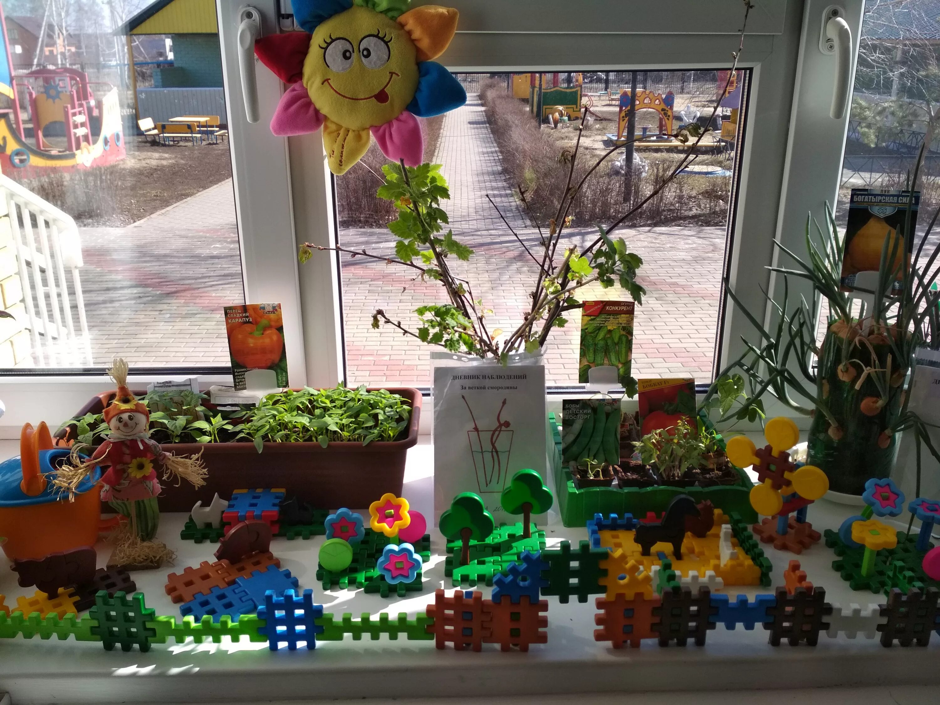 Огород на окне. Огород на подоконнике в детском. Огород на окне в детском саду. Огород на окошке в детском саду.