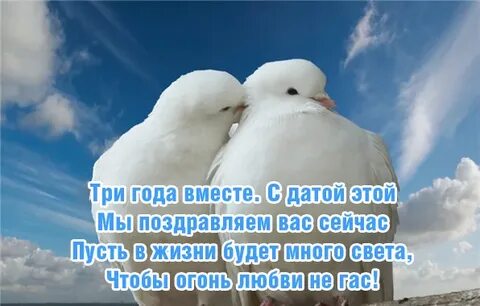 Встретимся три года