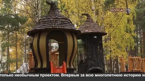 Белкины новости дзен