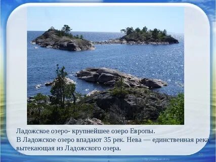 Река вытекающая из ладожского озера