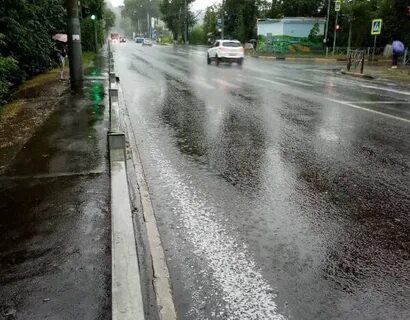 3 дождя брянск