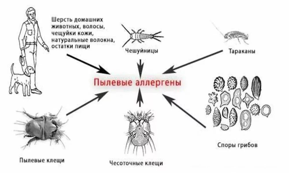 Пылевая аллергия симптомы