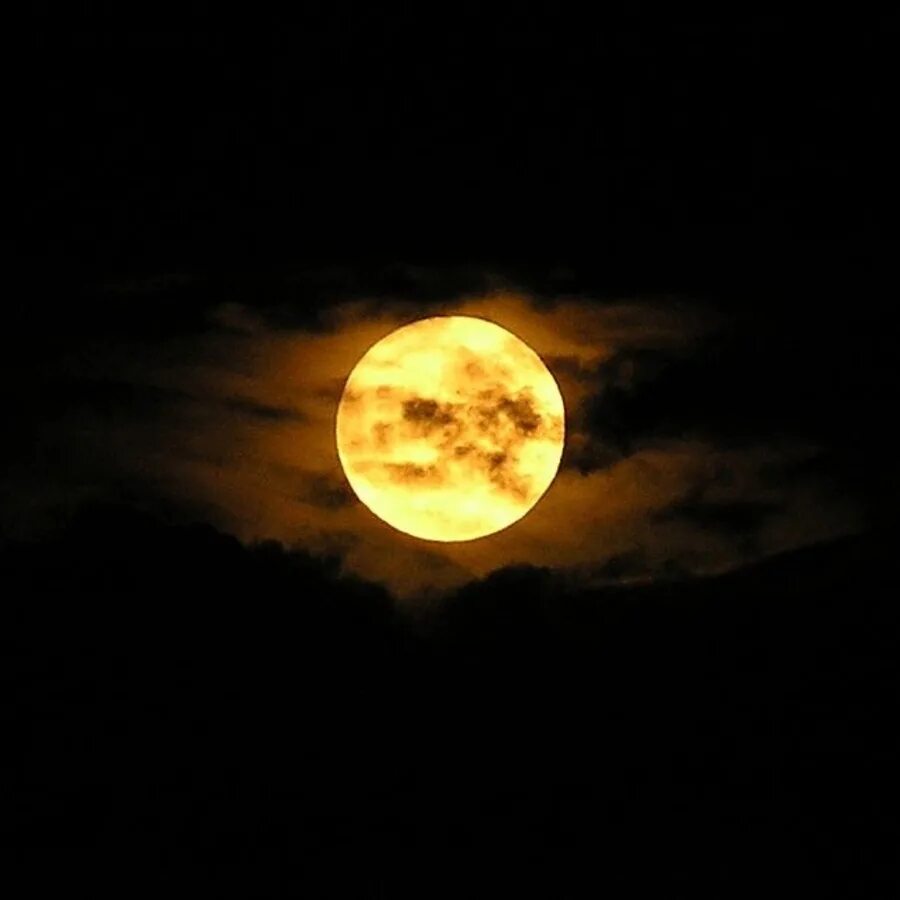Почему луна светит ночью а солнце днем. Желтая Луна. Луна желтая большая. Полная желтая Луна. О желтая Луна в ночи.