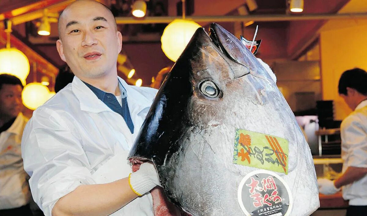 Мир наизнанку тунец в Японии. Самая дорогая рыба.
