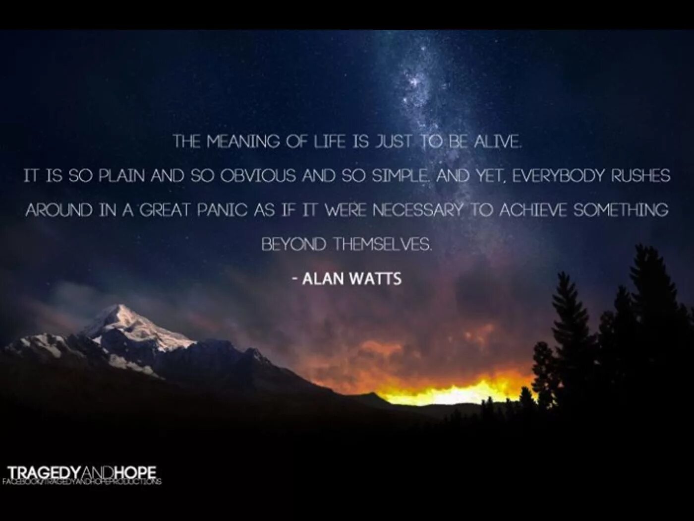 Will be alive. The meaning of Life презентация. О смысле жизни. Смысл (meaning). What is the meaning of Life.