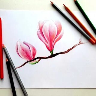 Карандаши для начинающих