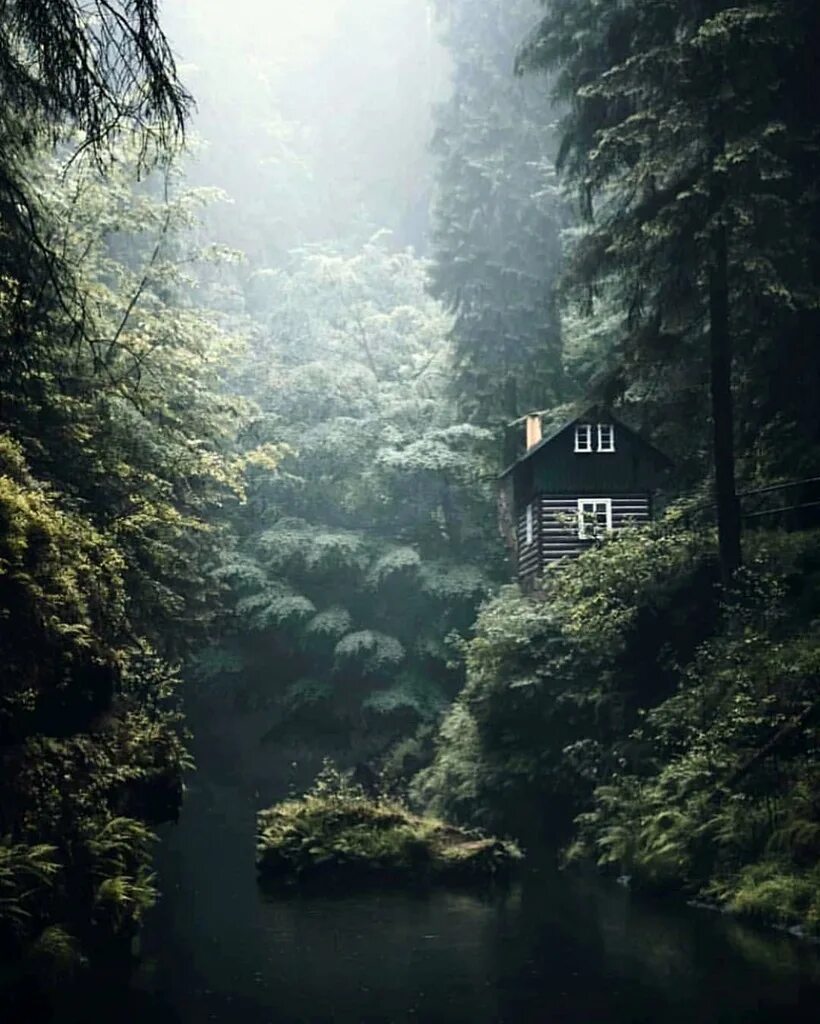 Где то среди леса среди леса. Шварцвальд дом в лесу. Хижина штата Мэн. Домик в тумане. Красивый домик в лесу.