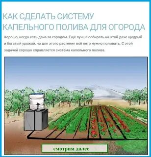 Ежедневно на поливку грядок израсходовали