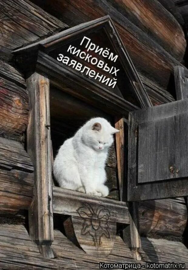 Отказались от меня цитаты. Штирлиц мудрые высказывания. Открытки со смыслом. Женщина которая запала в душу мужчине. Цитаты про предателей.
