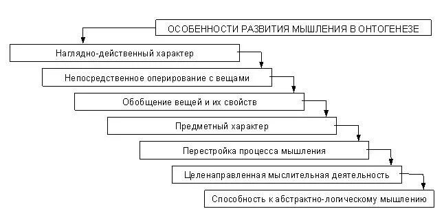 Память в онтогенезе. Последовательность стадий развития мышления в онтогенезе. Последовательность развития в онтогенезе видов мышления. Развитие мышления в онтогенезе психология. Схема развития речи и мышления в онтогенезе.