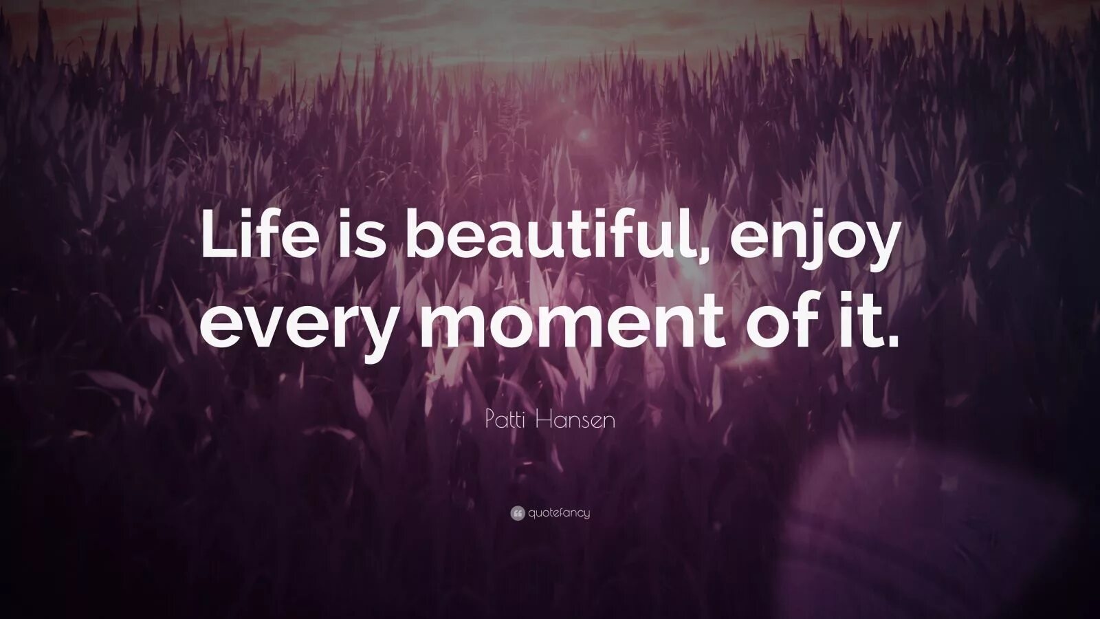 Take every moment. Life is beautiful картинки. обои на телефон life is beautiful. enjoy every moment. картинка enjoy every moment.