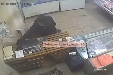 Идеальное похищение рассказ на дзен