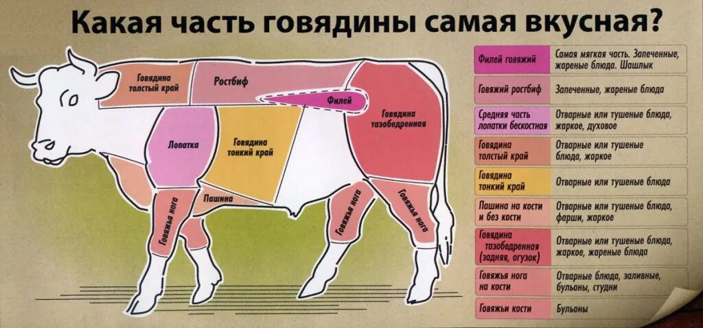 Как называются части туши говядины. Огузок часть говядины. Части туши говядины Рибай. Части коровы.