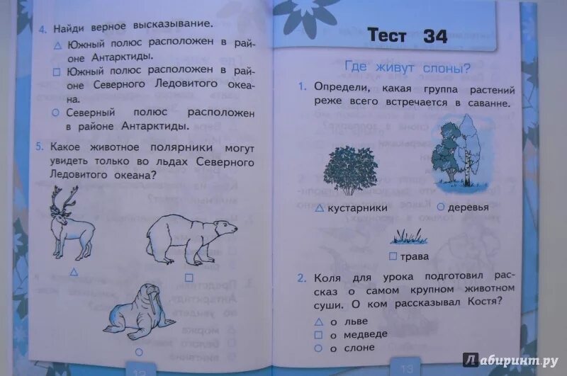 Окр мир 2 класс контрольная. Тесты по окружающему миру 2 класс к учебнику Плешакова ФГОС. Окружающий мир. 1 Класс. Тесты. Тестирование в первом классе по окружающему миру.