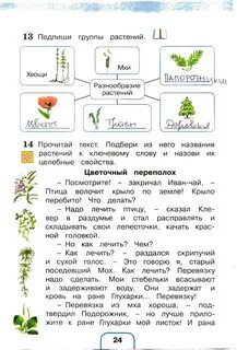Готовое домашнее окружающий мир 3 класс