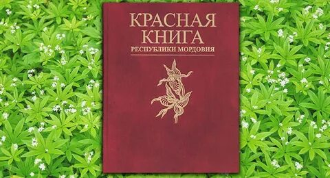 Растения и животные красной книги мордовии