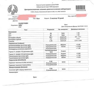 Сколько готовится гепатит