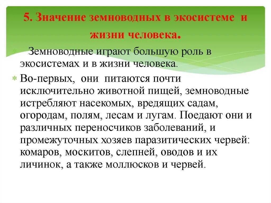 Какую роль играют амфибии в природе. Значение земноводных в природе. роль земноводных в жизни человека. поль земелаодных в природе. земноводные значение в природе и жизни человека.