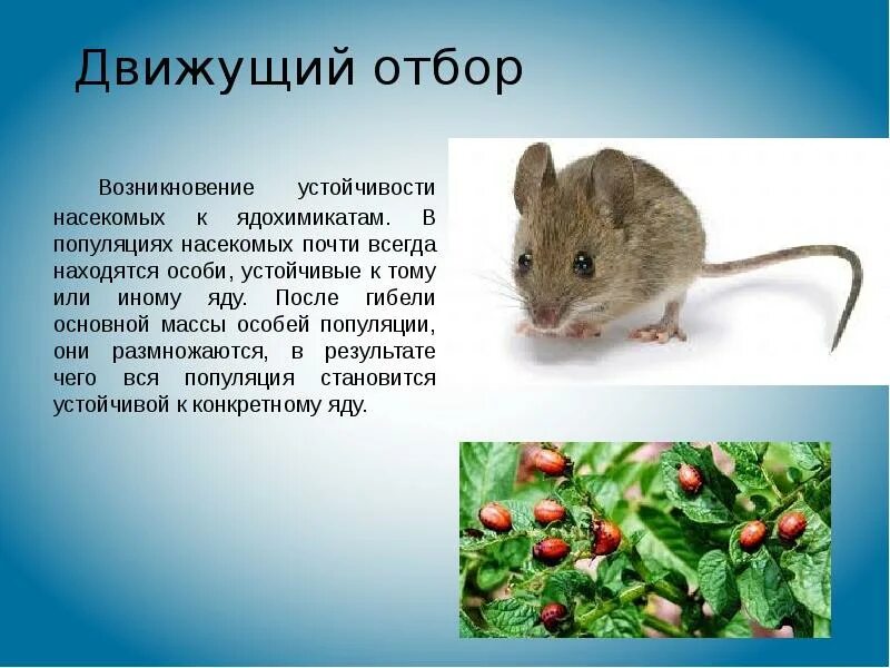 Движущим отбором является