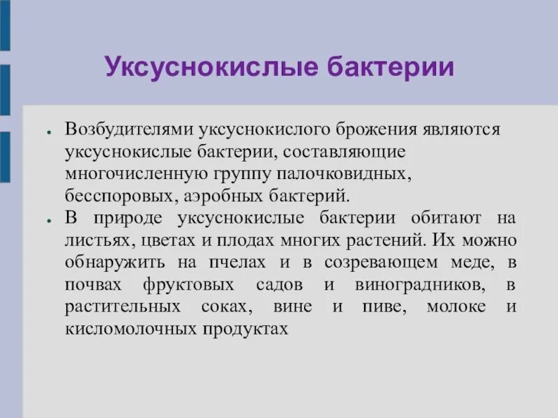 Роль клубеньковых бактерий. Положительные и отрицательные бактерии. Положительные и отрицательные бактерии. Отрицательные бактерии в жизни человека. Роль бактерий в природе и жизни человека.