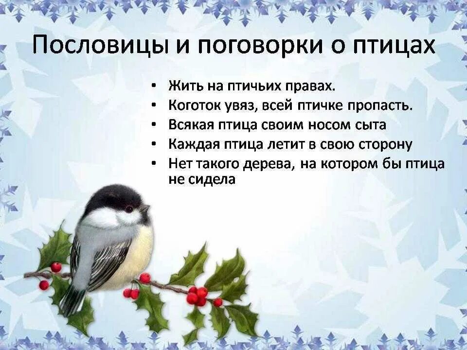 Русская пословица ласточка день начинает. Пословицы о птицах для детей. Пословицы о птицах для дошкольников. Стихи про птиц. Пословицы и поговорки о зимующих птицах для детей.