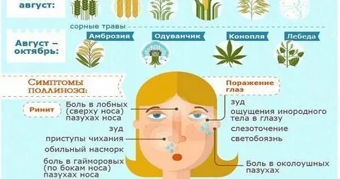 Постоянно аллергия что делать
