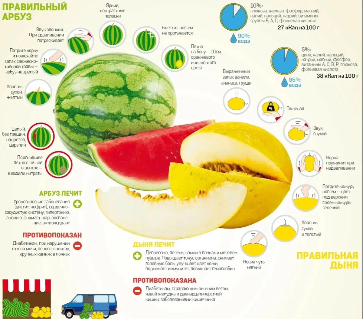 Витамины в арбузе. Калорийность арбуза и дыни. Витамины в дыне и арбузе. Как правильно выбрать Арбуз и дыню.