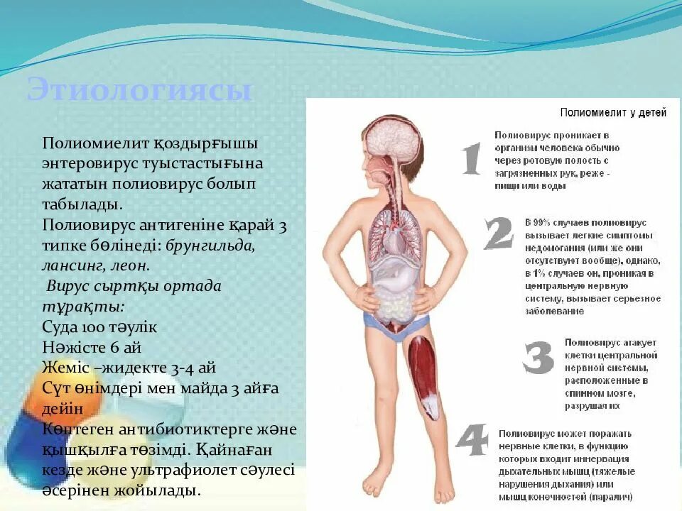 Центр полиомиелита. Полиомиелит клиническая картина. полиомиелит у детей презентация. основные симптомы полиомиелита.