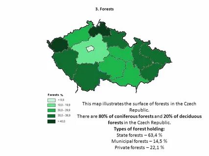 True region