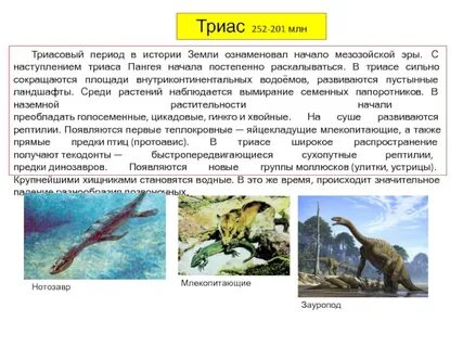 Триас какая эра