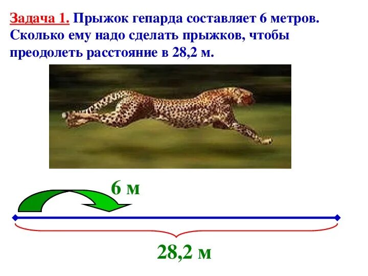 Сколько скорость гепарда. Гепард в прыжке. Гепард прыгает. Макс скорость гепарда км/ч. Длина гепарда.