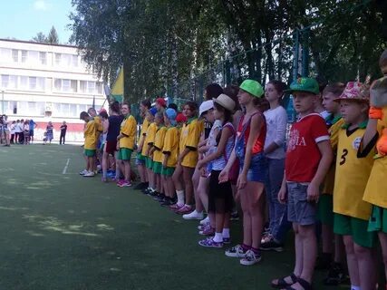 Лагерь ромашка