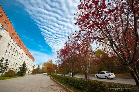 Погода академгородок