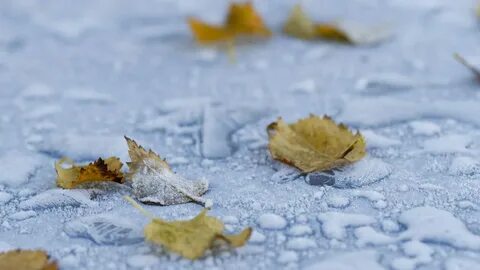 Cold fall