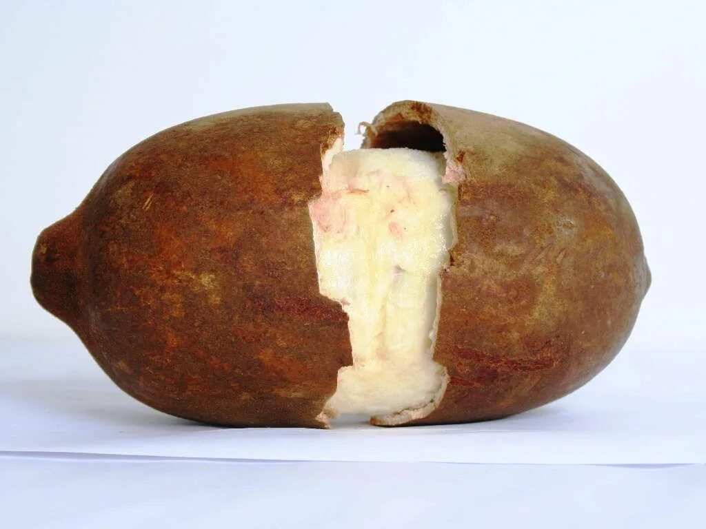46 Of The World’s Weirdest Fruits And Vegetables Weird fruit, Fruit, Fruits and