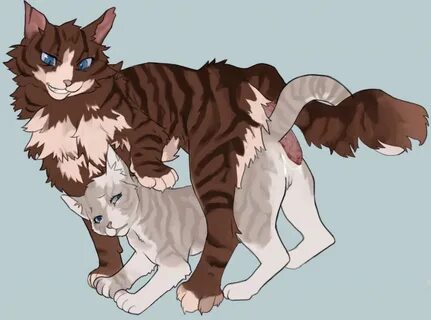 plumbelly, hawkfrost (warriors), ivypool (warriors), warriors (cats), after...