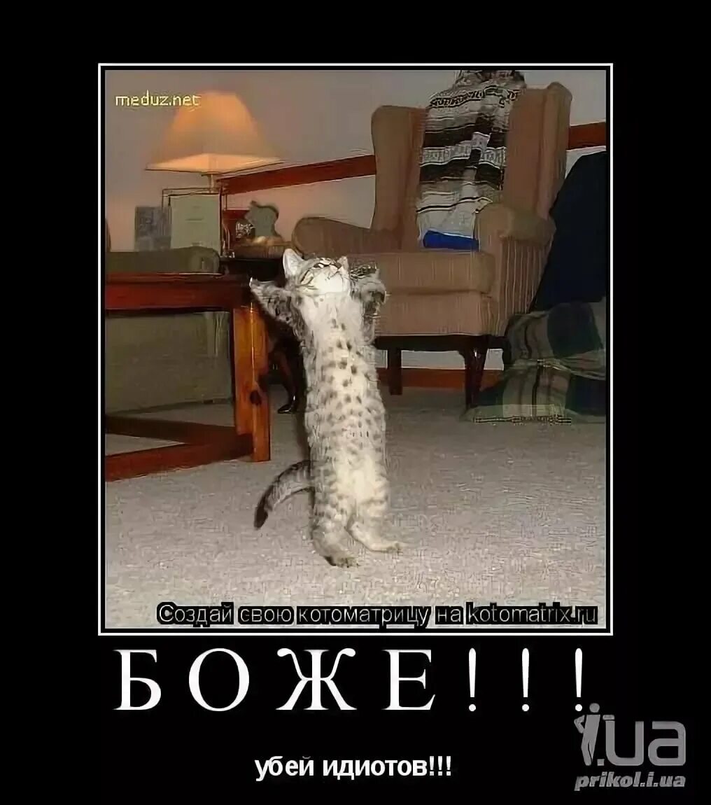 дебил лох. ты идиот ты идиот. придурок тебя убьет. придурок тебя убьет. ты дебил.